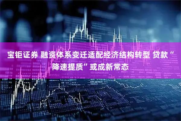 宝钜证券 融资体系变迁适配经济结构转型 贷款“降速提质”或成新常态