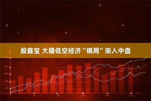 股鑫宝 大疆低空经济“棋局”渐入中盘